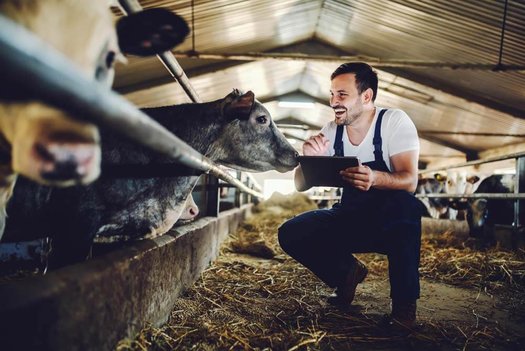 Landwirtschaft (Lehrberuf)